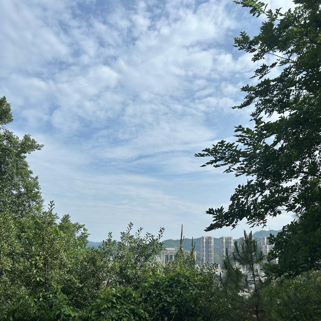 可爱滴小虾米