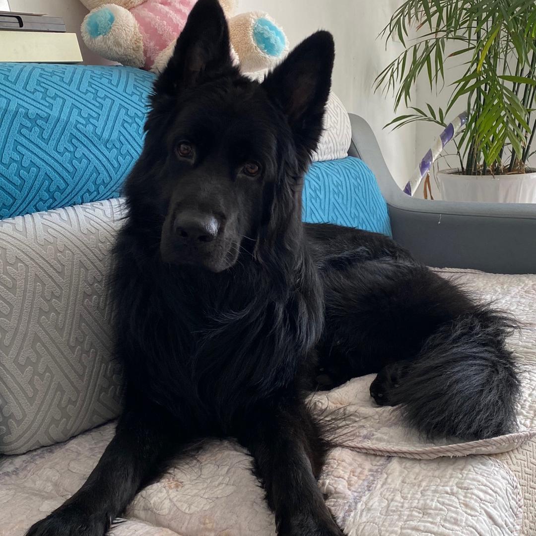 @82:9.12妖妖~请勿连赞