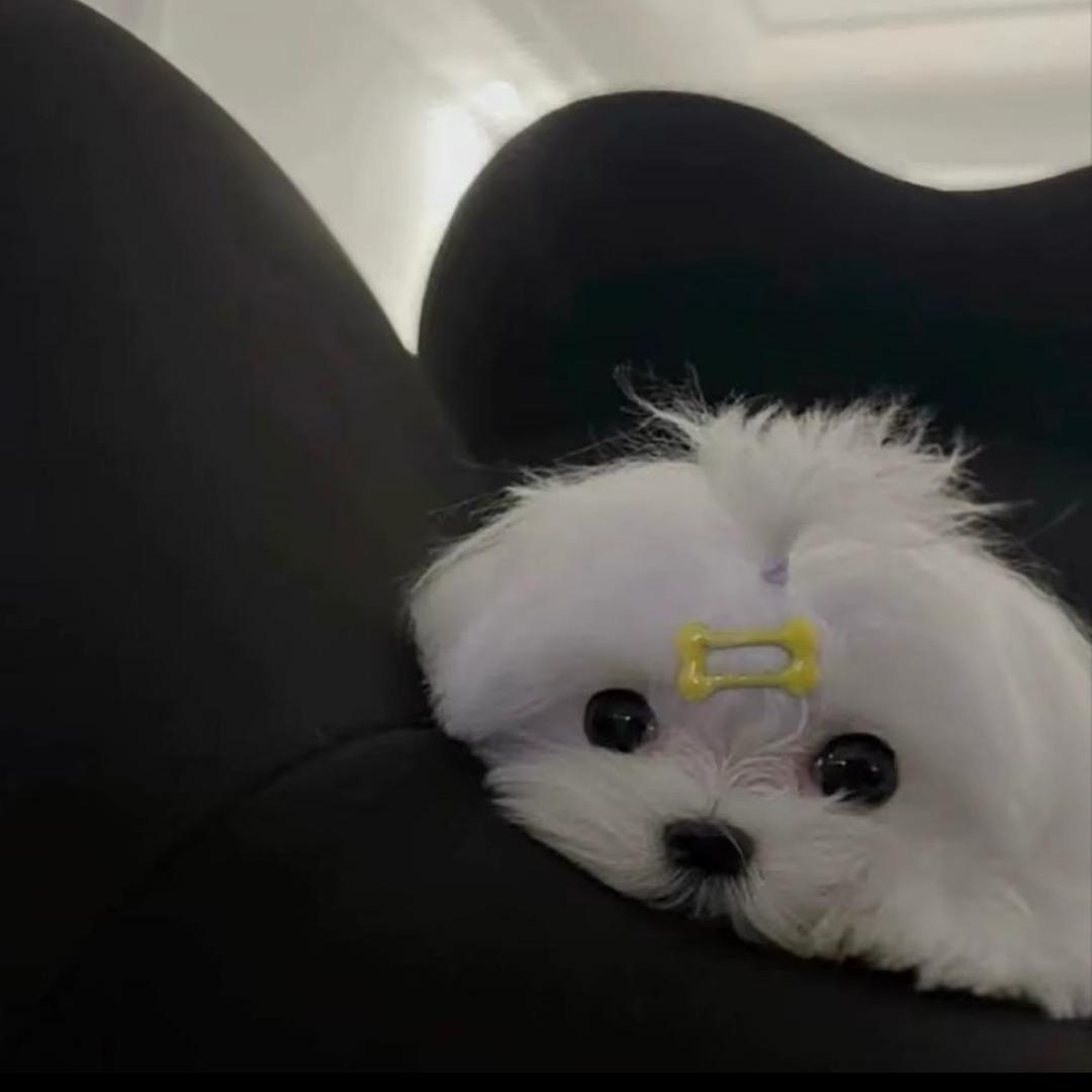 ㅤㅤㅤㅤㅤㅤㅤㅤ@