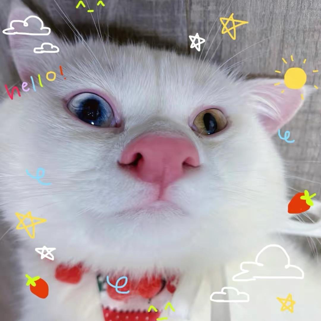 放