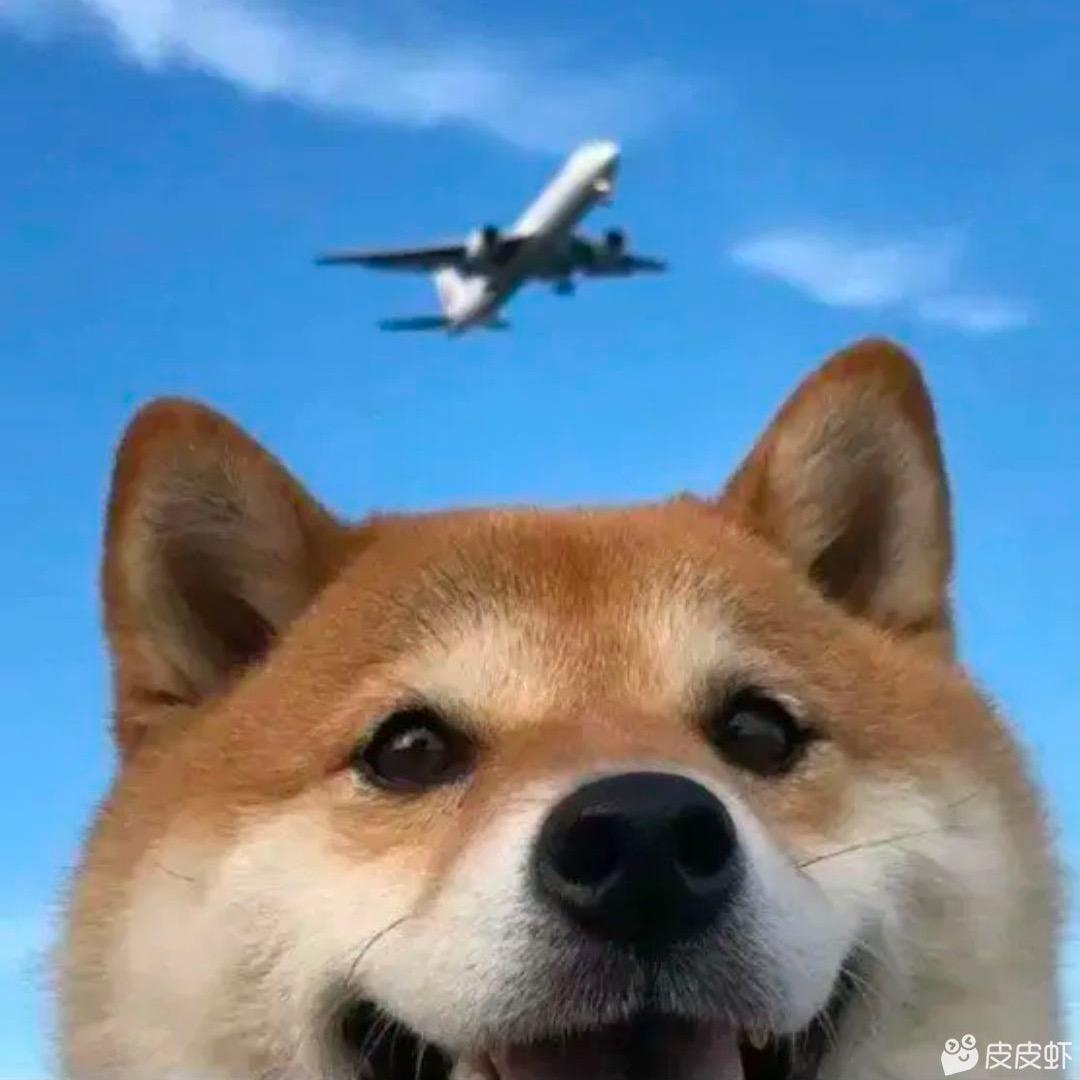 追梦人