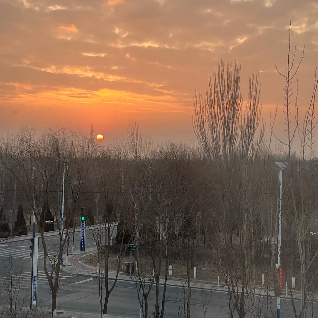 ♀☞木～子～李