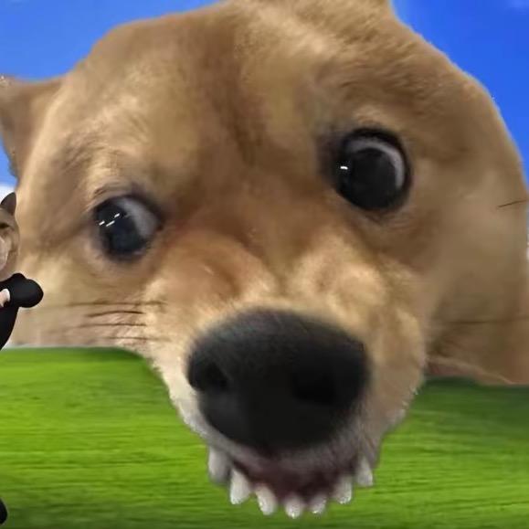 文字D