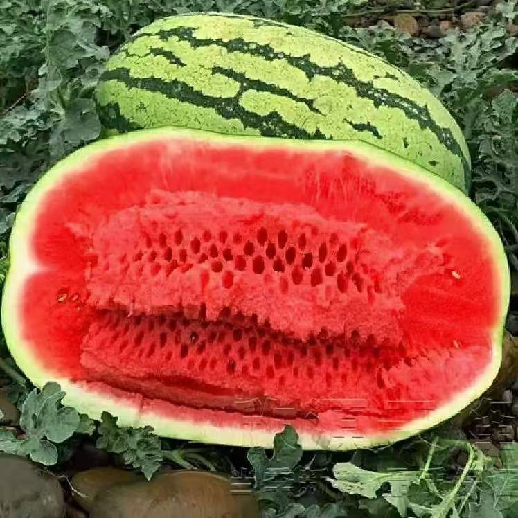 永胜老弟果蔬供应链