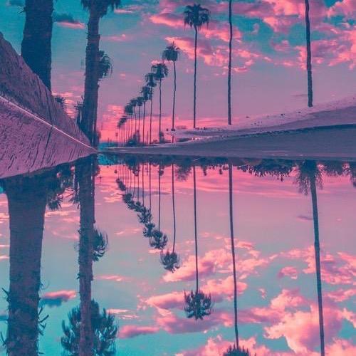考拉。