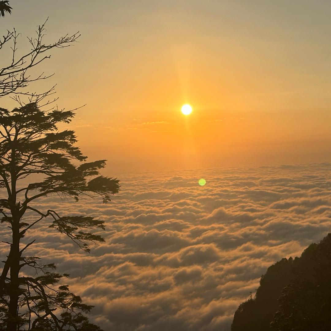 小满-先行后知😇