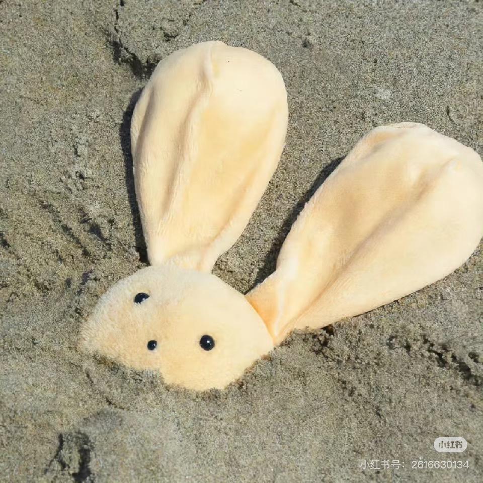 蛋卷不想卷（分享版）