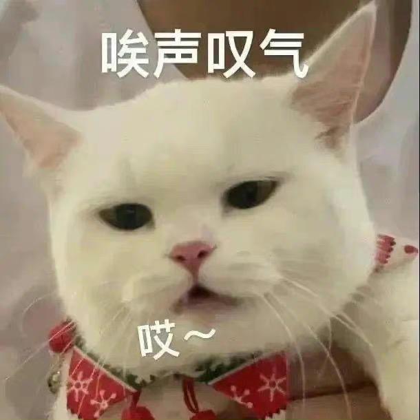 五柒斤欠