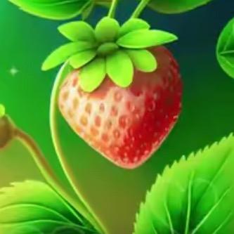草莓🍓味