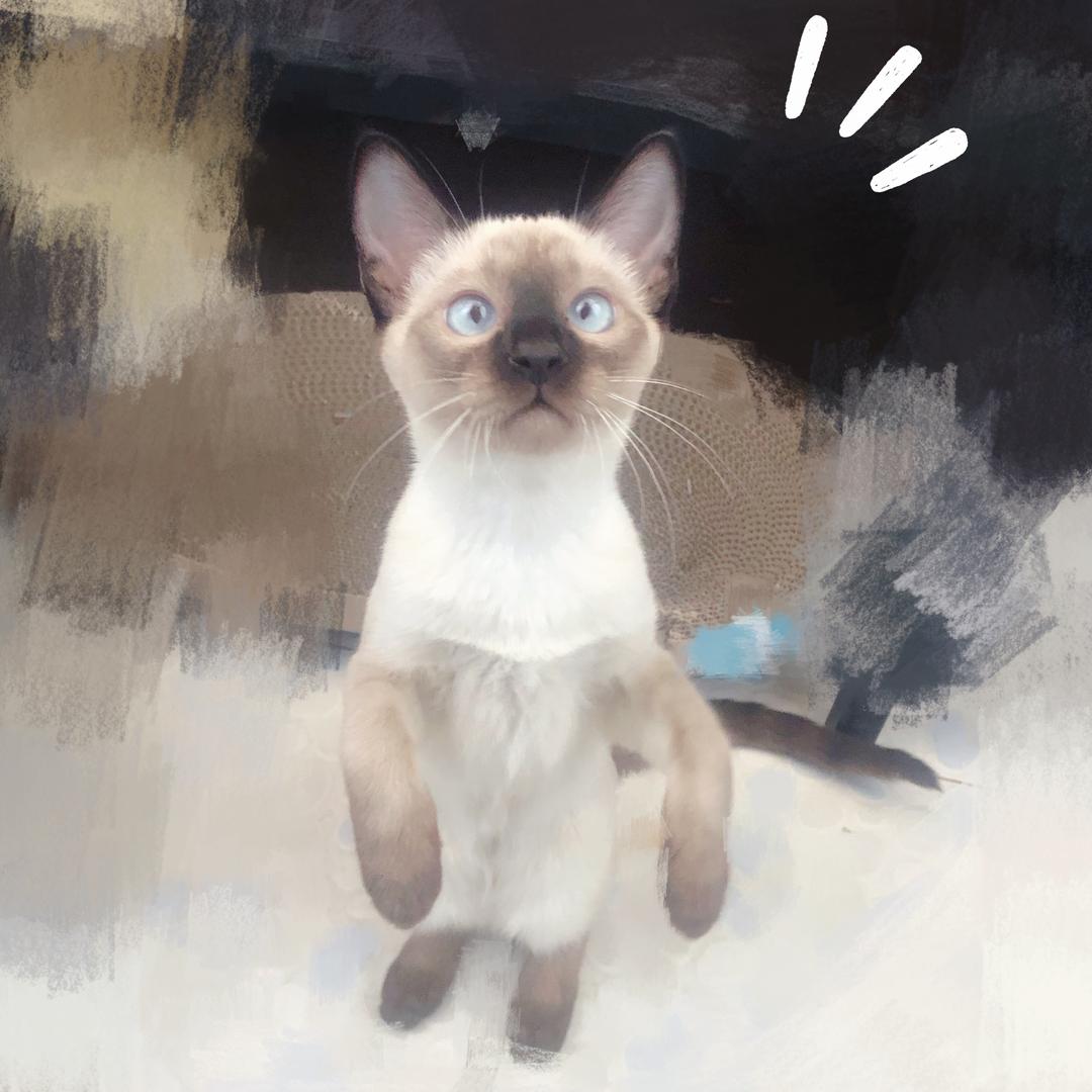 蓝色