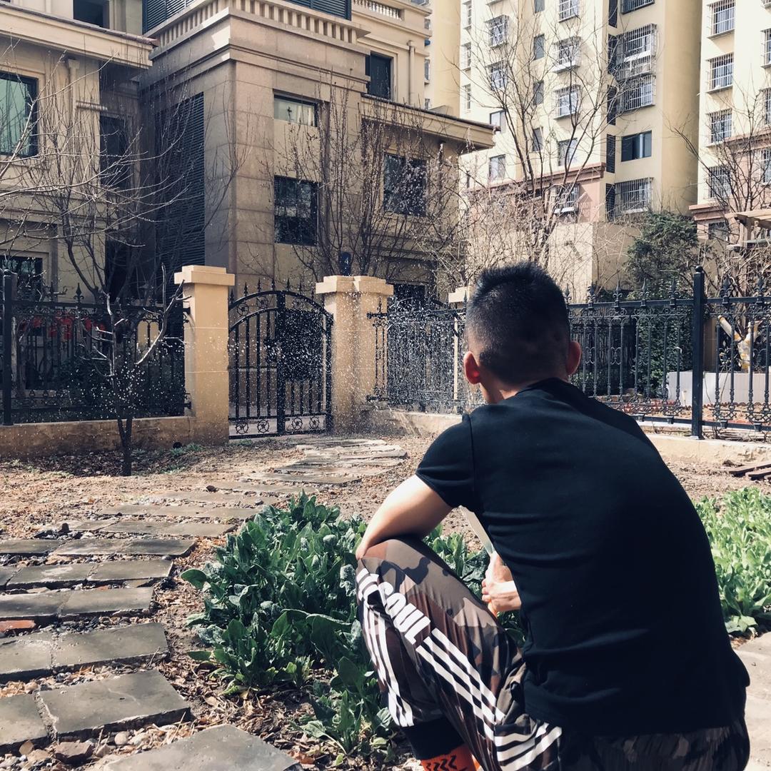 老猫                🐈