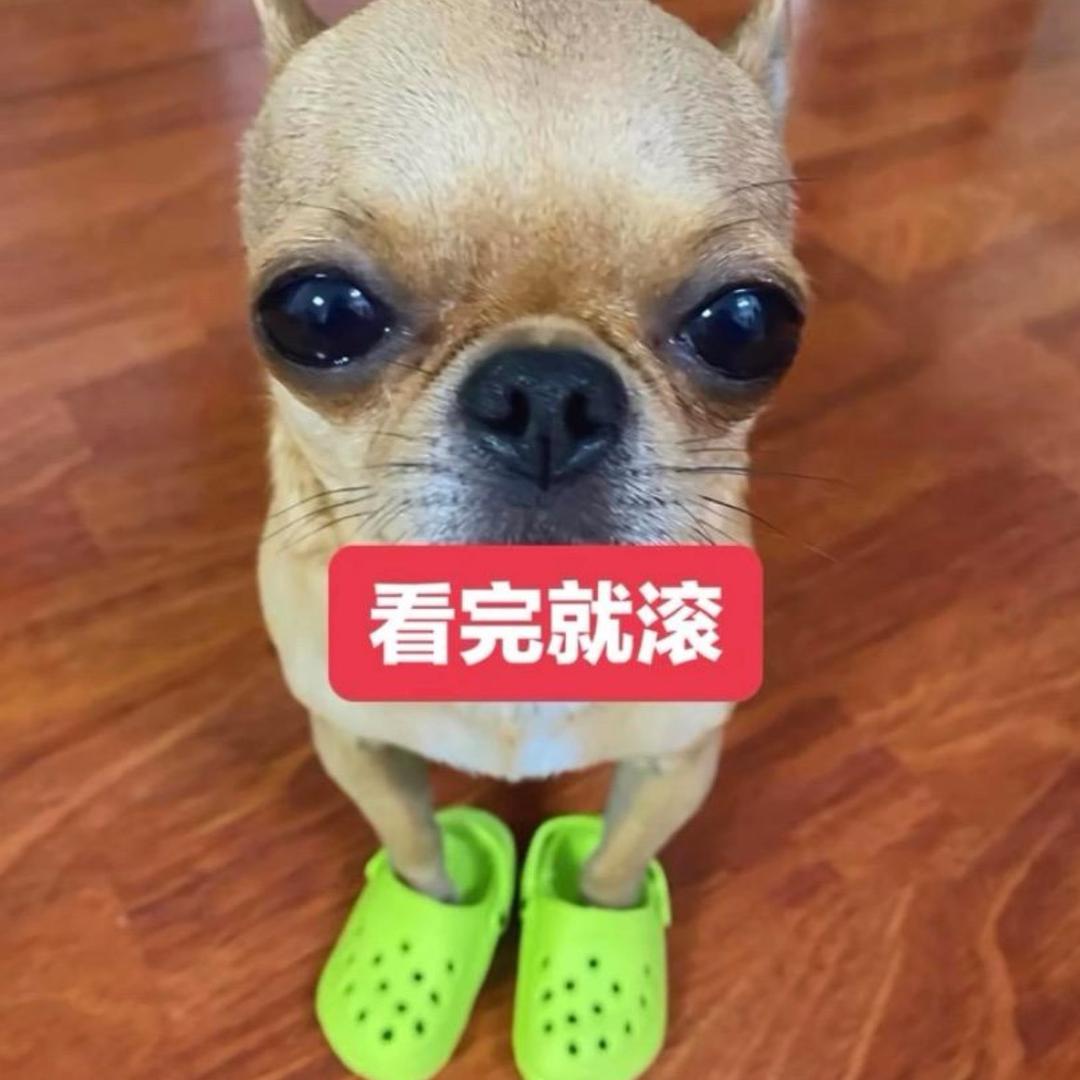 想吃土豆饼