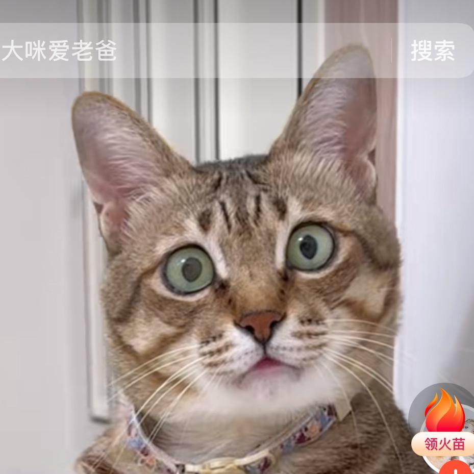 金