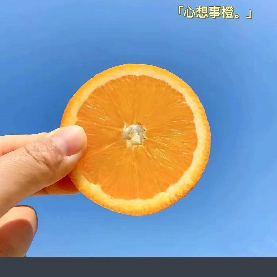 荟宝（快活林店）