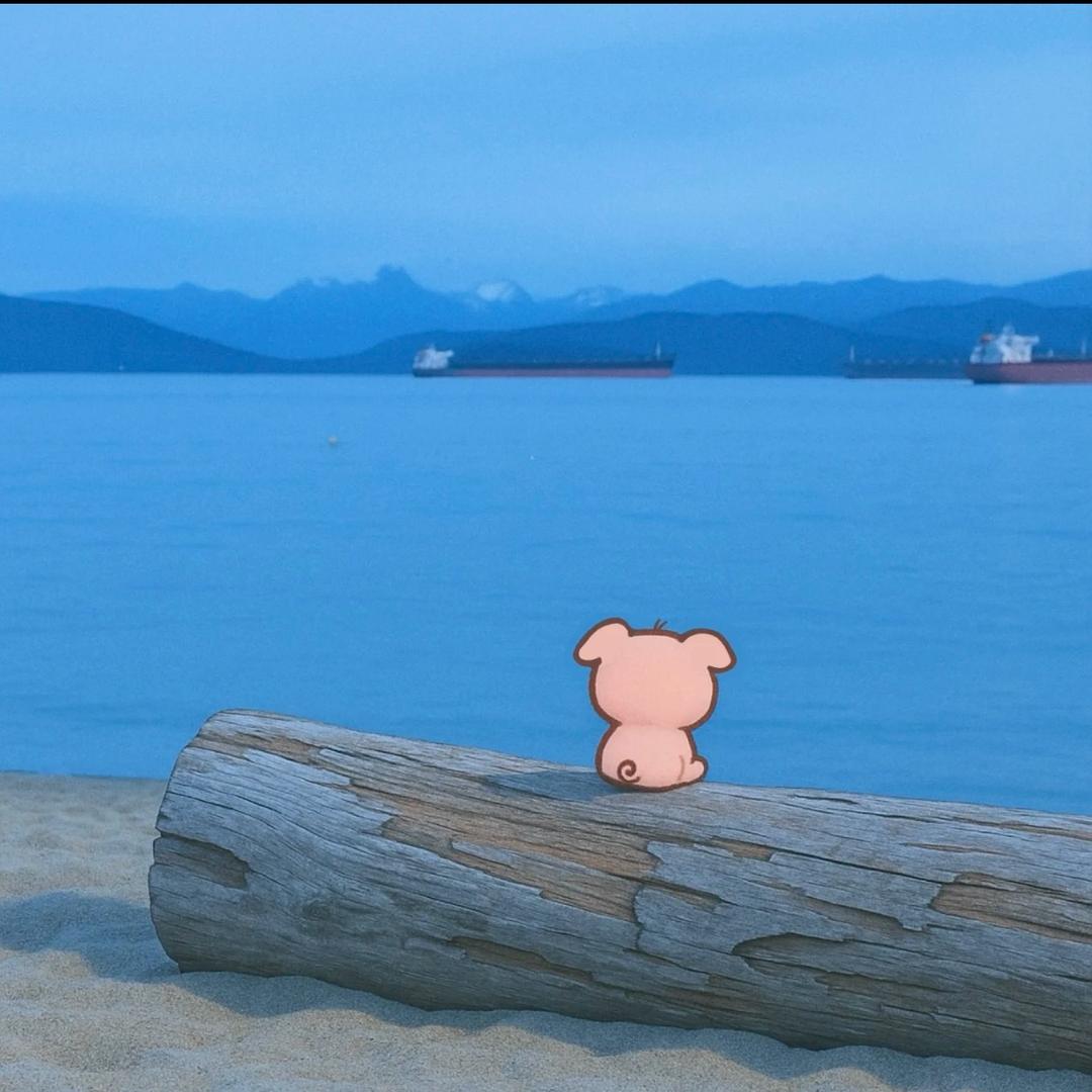 做个安静的哑巴