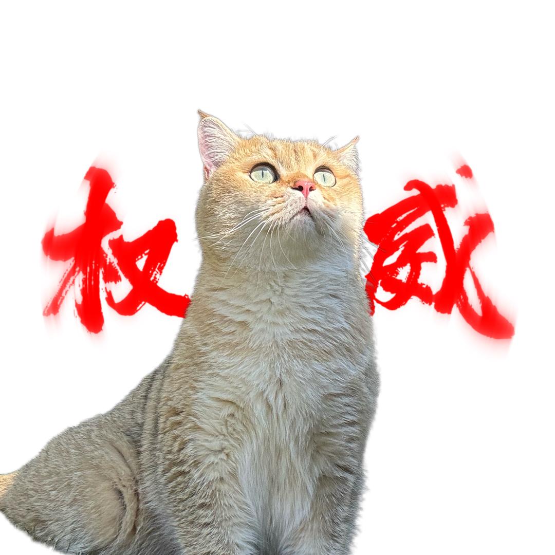 六六咕噜噜