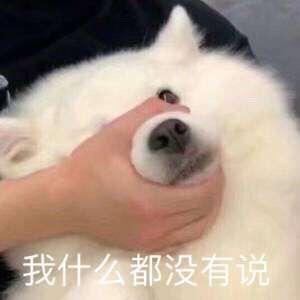 脑子不够用(接三角洲跑刀)