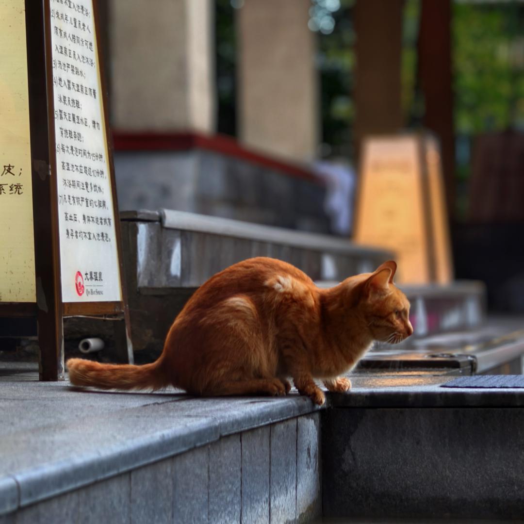 蔡蔡护工（收徒）