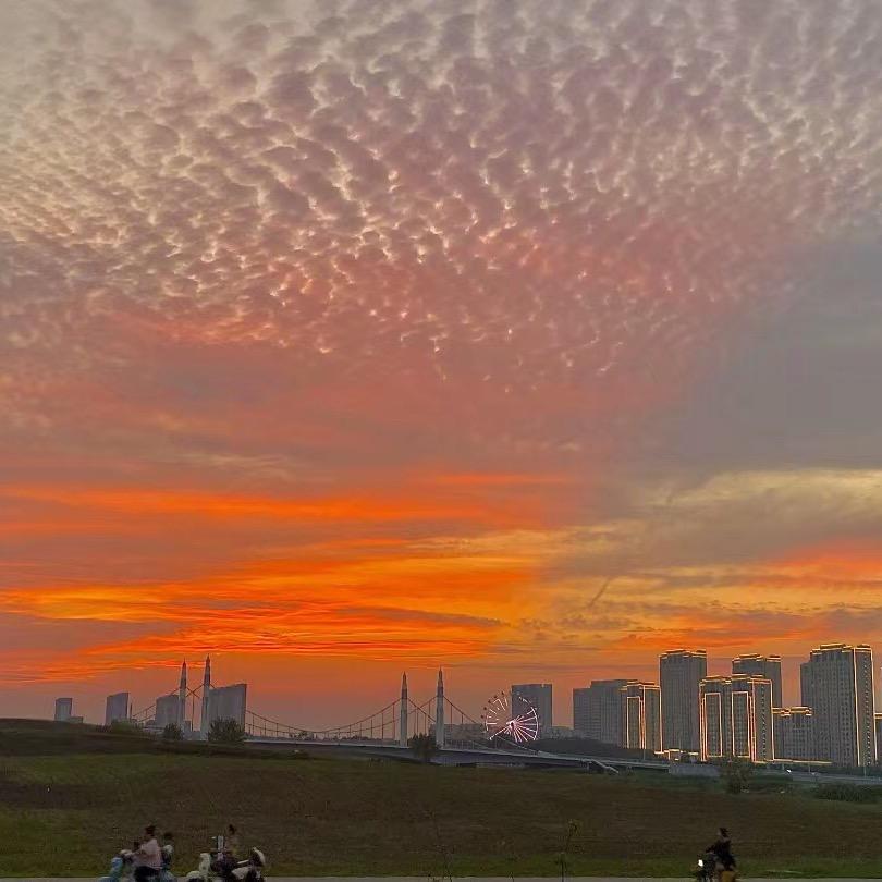 🌄路边的日落