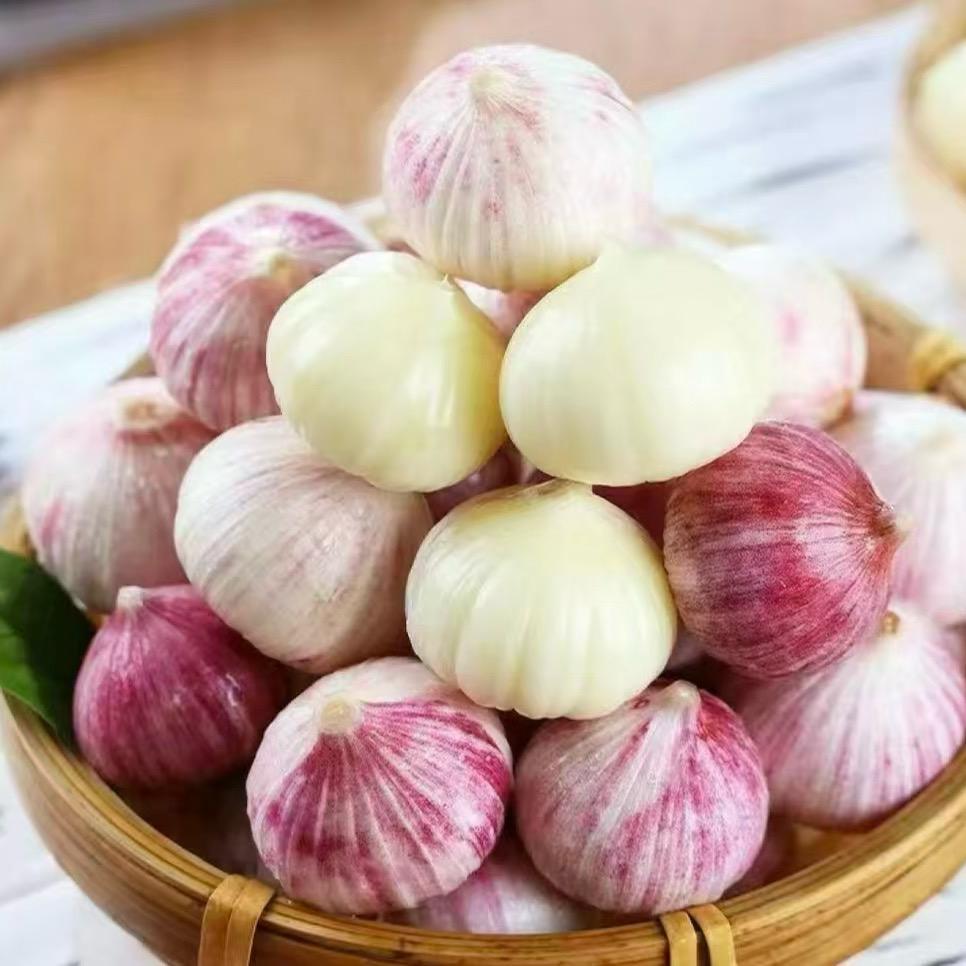 云豆豆农产品基地