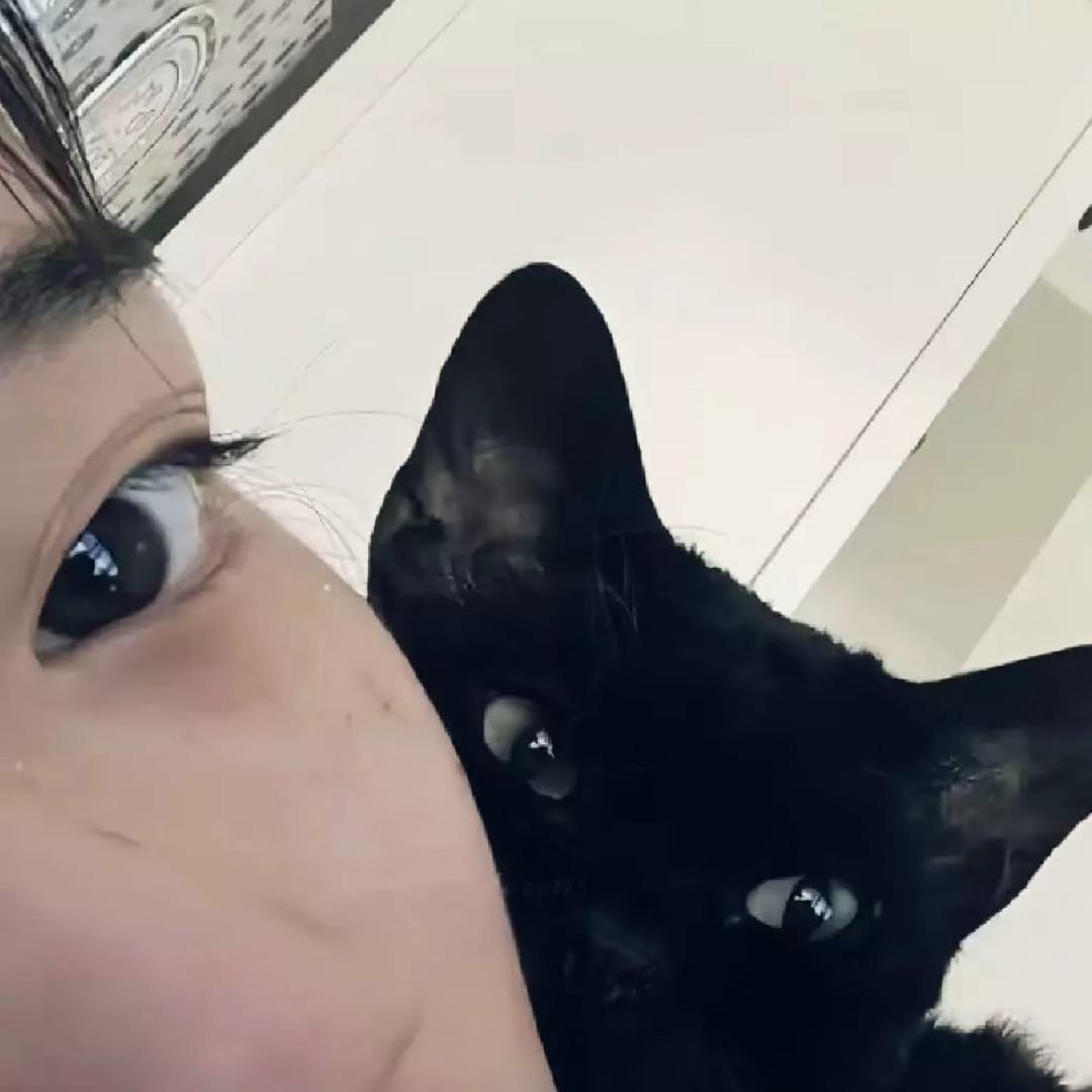 ·𝓑𝓪𝓲. 🐈