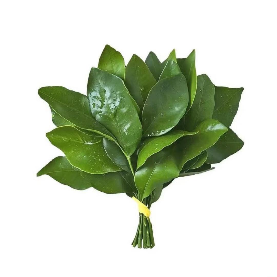 UU