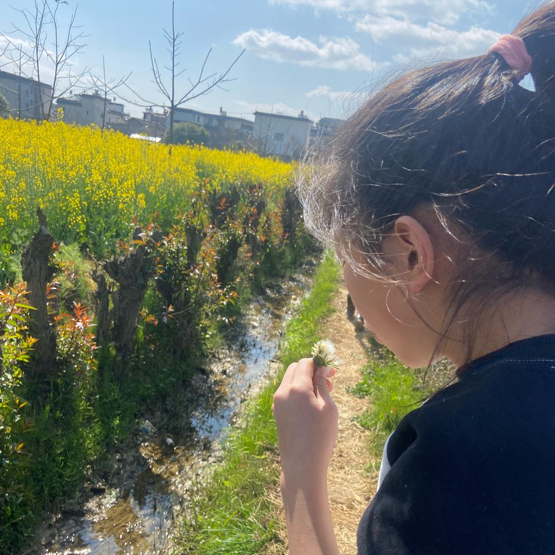 流（牛）油果🥑