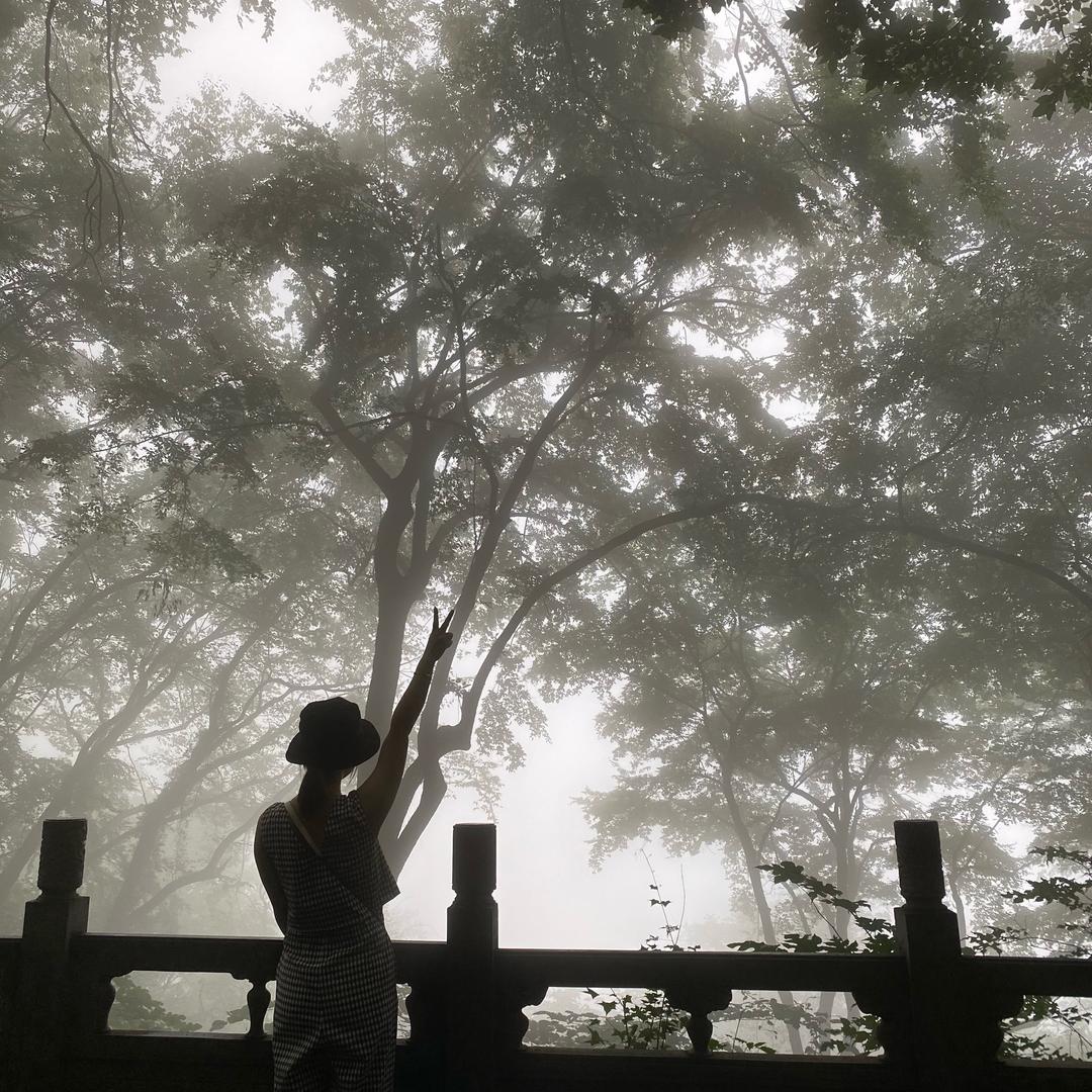 汝州天蓬装饰-程程