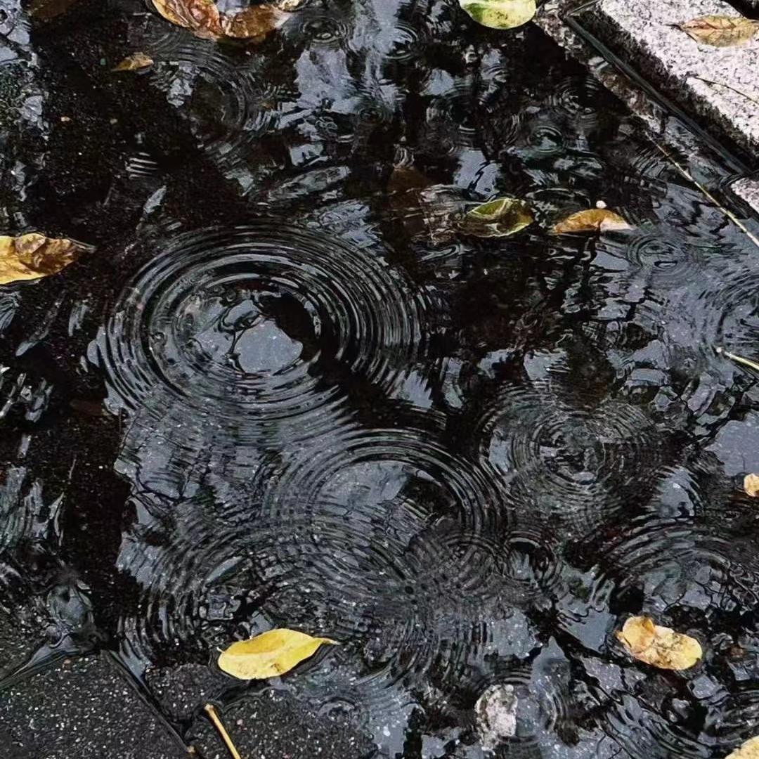 困困很困