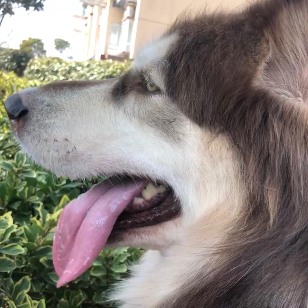 一猕猴桃🥝