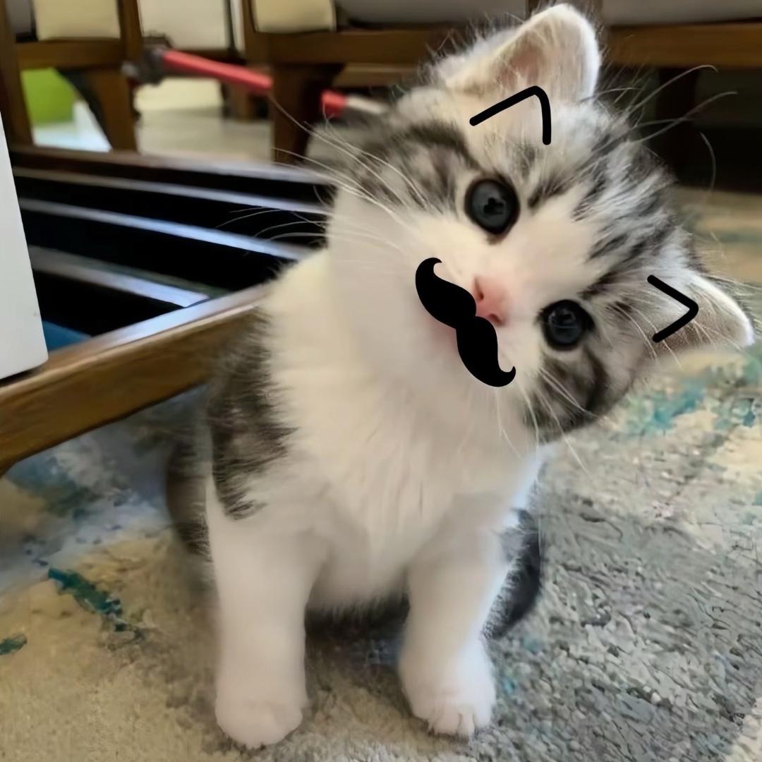 性格腼腆喜欢强吻。