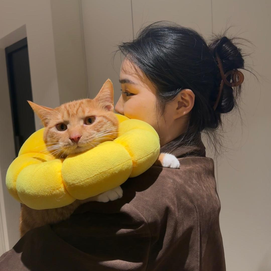秋天不爱家