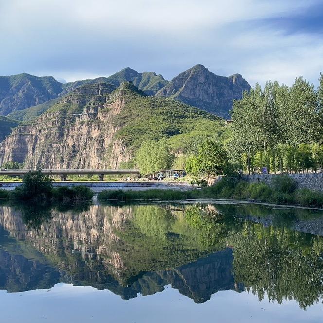 大王叫我来巡山💯