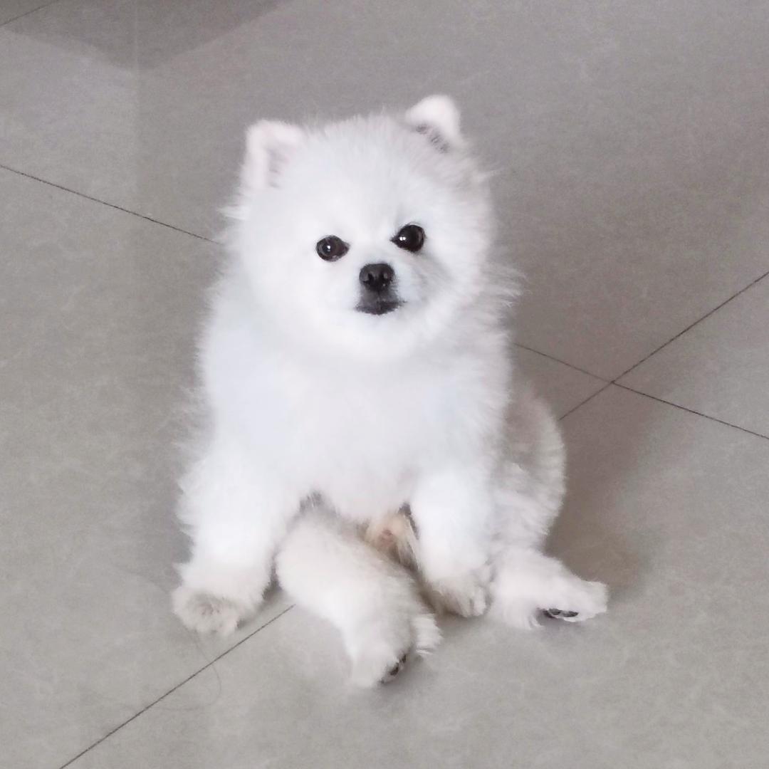 金子🍯