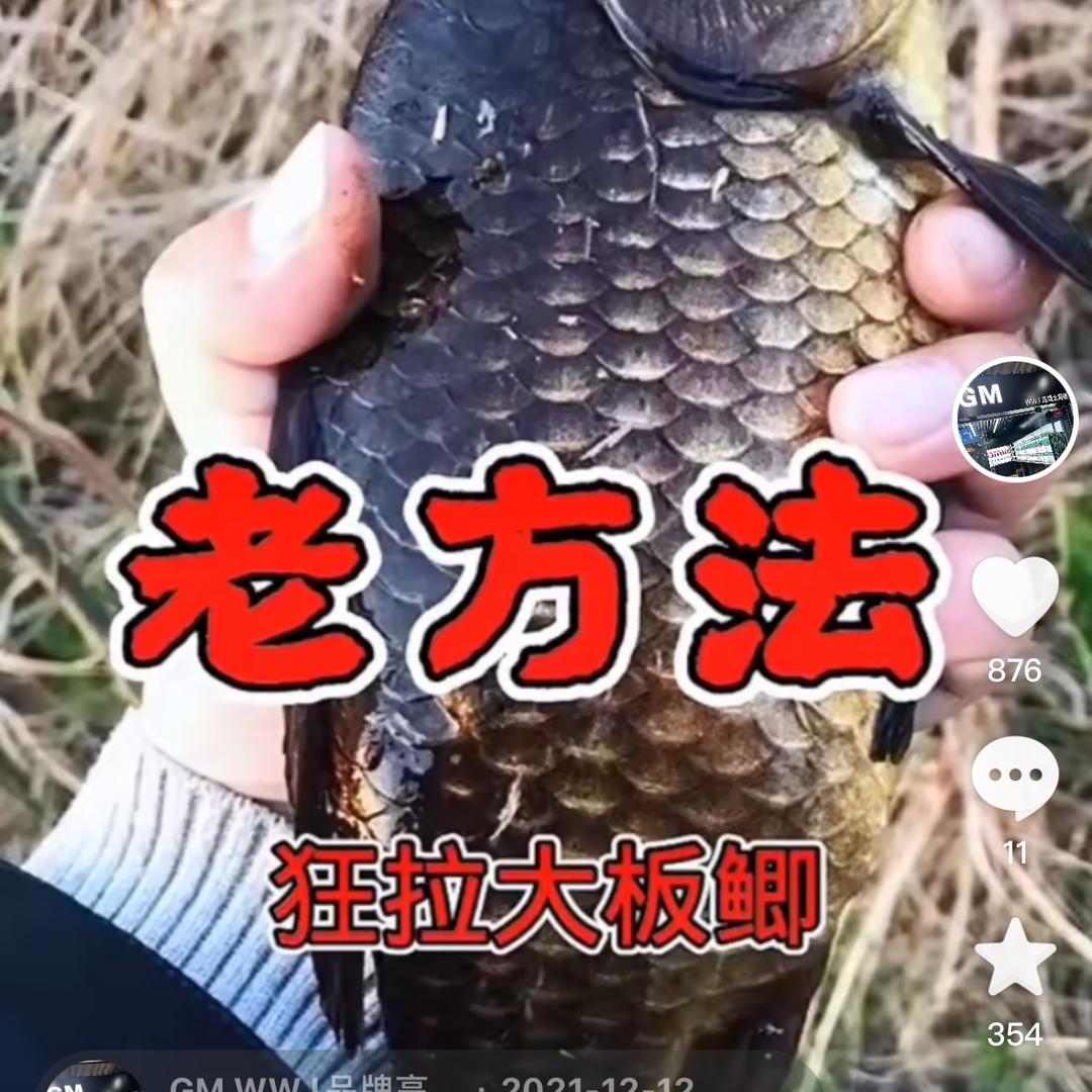 华北野钓周哥