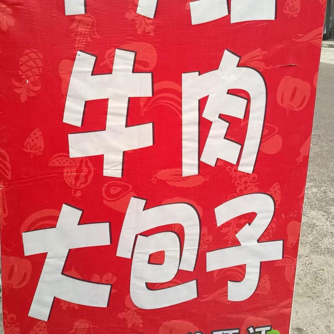 网红牛肉大包子