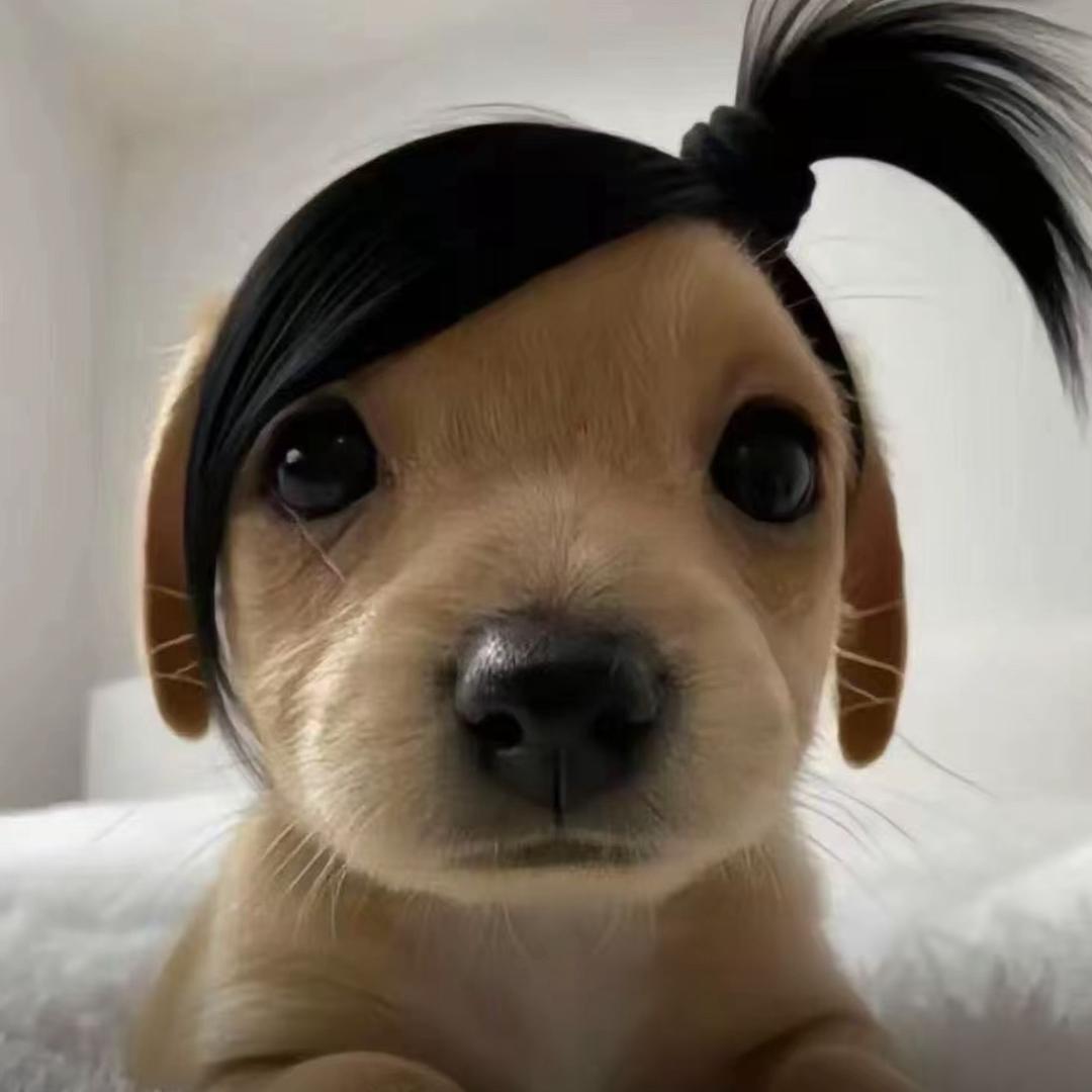 鲨鱼哭茶^^