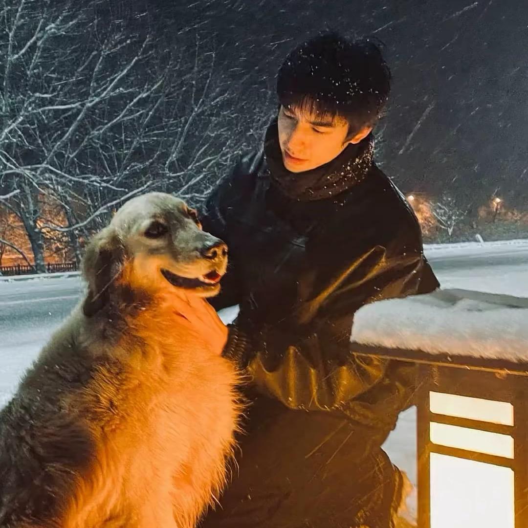 正能量专业打击败类