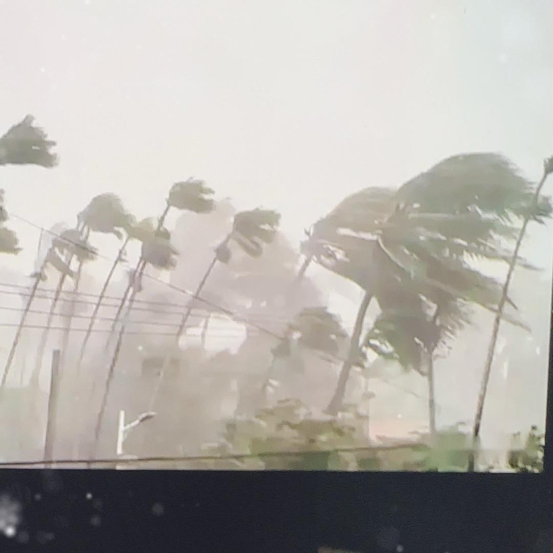 台风预测路径