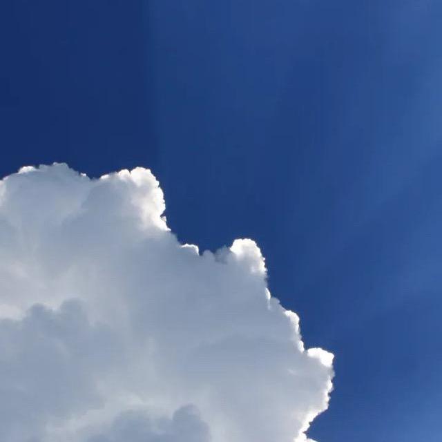朋