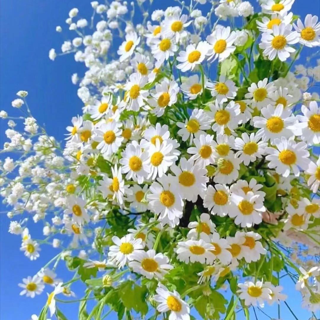 夏。