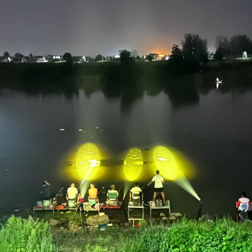 花仙子🧚🏻‍♂️