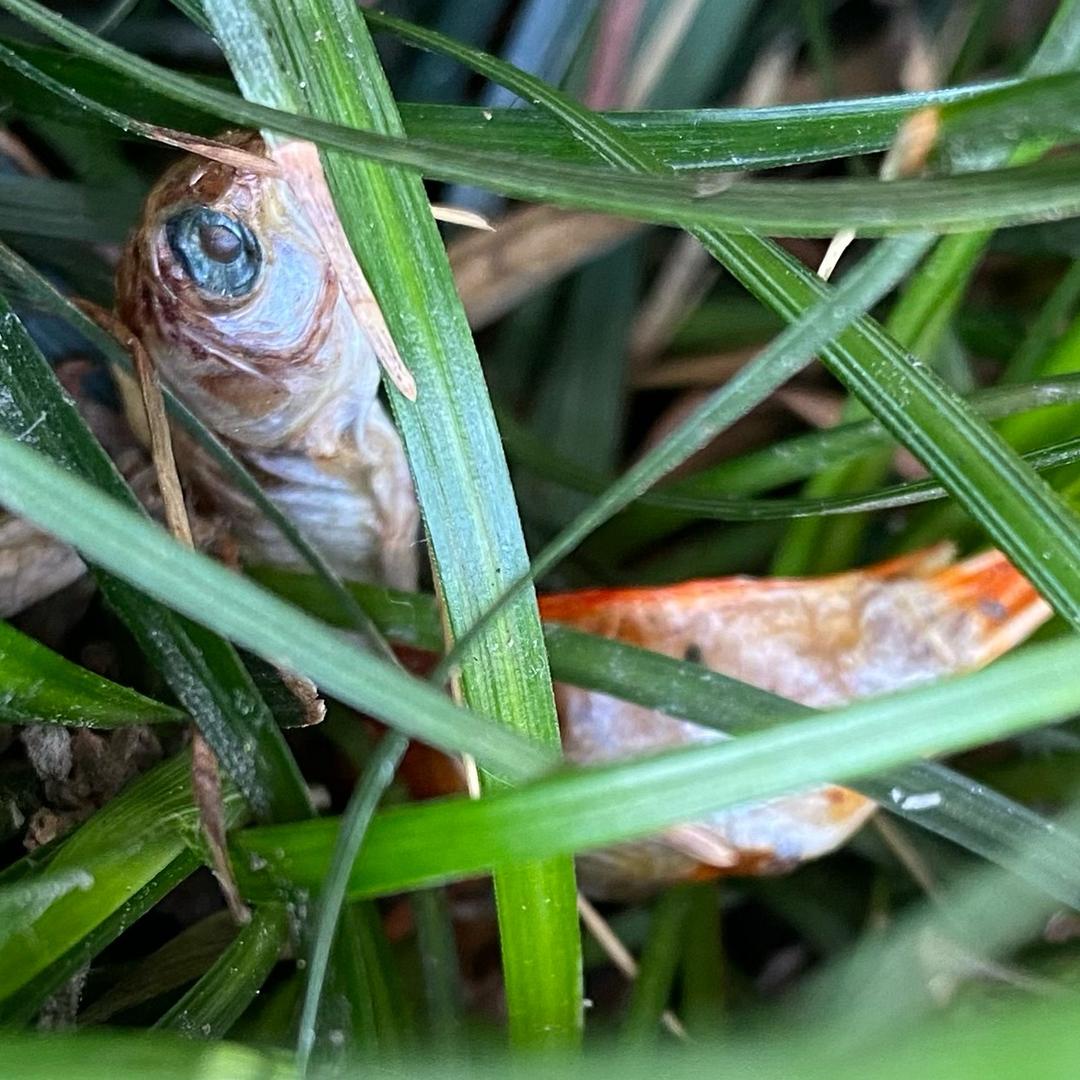 还我手机永泰龙峰路339号