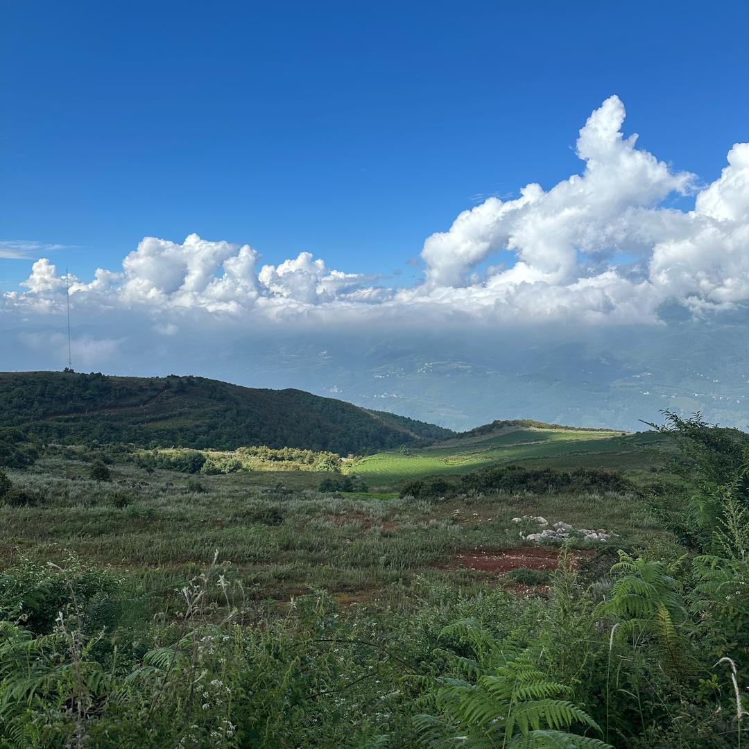 东川一乘叛逆教练