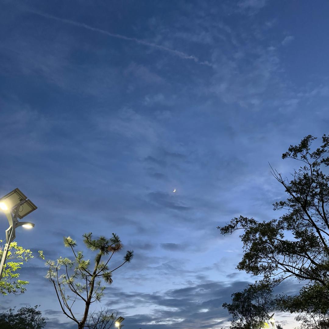 郑家牛羊肉宿迁井头店