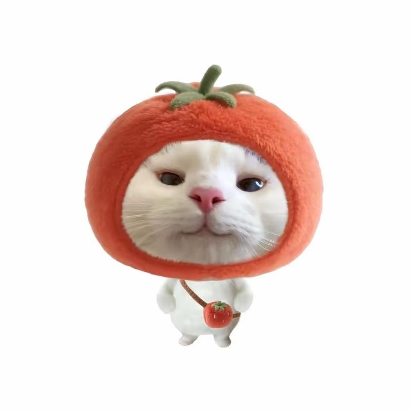 忧郁天花板