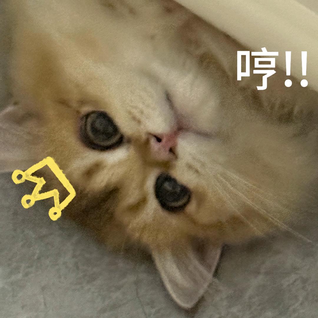 小唐备忘录📕
