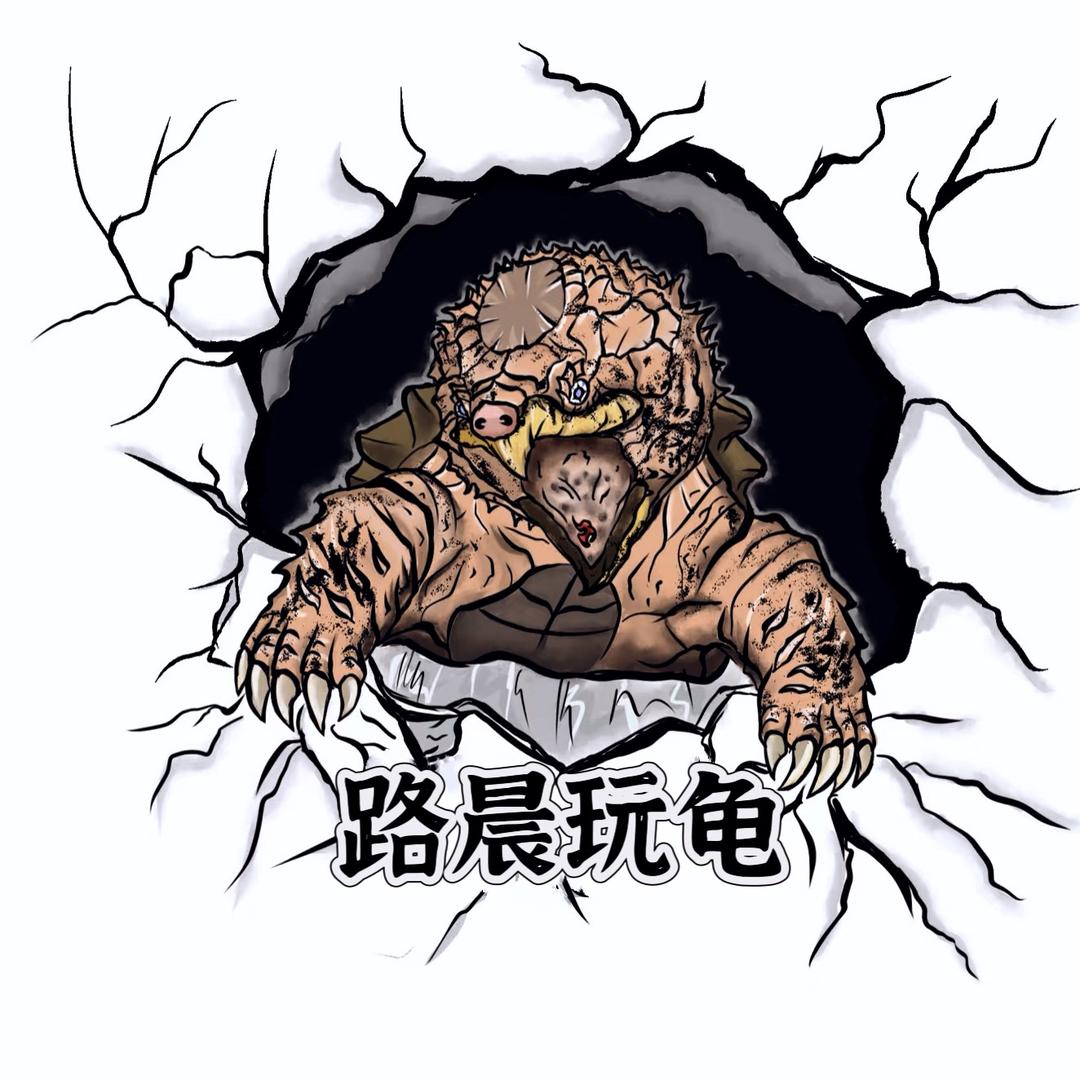 路晨精选龟店
