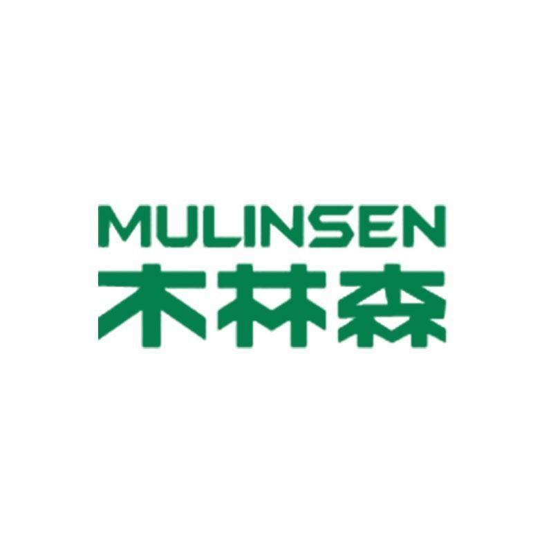 木林森驰艺男鞋专卖店