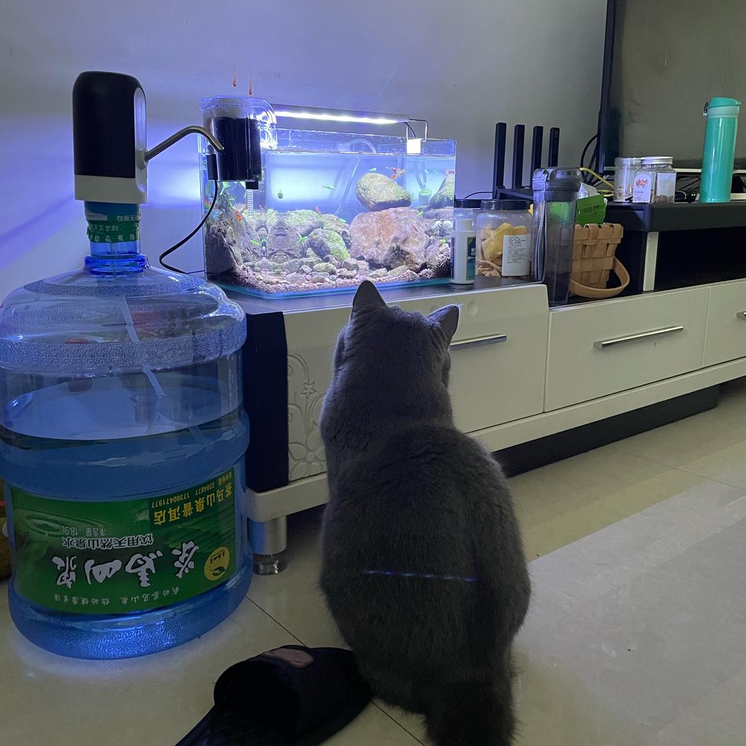 故里。